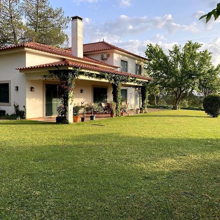 Casa Do Campo - Castelo Branco Βίλα Καστέλο Μπράνκο Εξωτερικό φωτογραφία