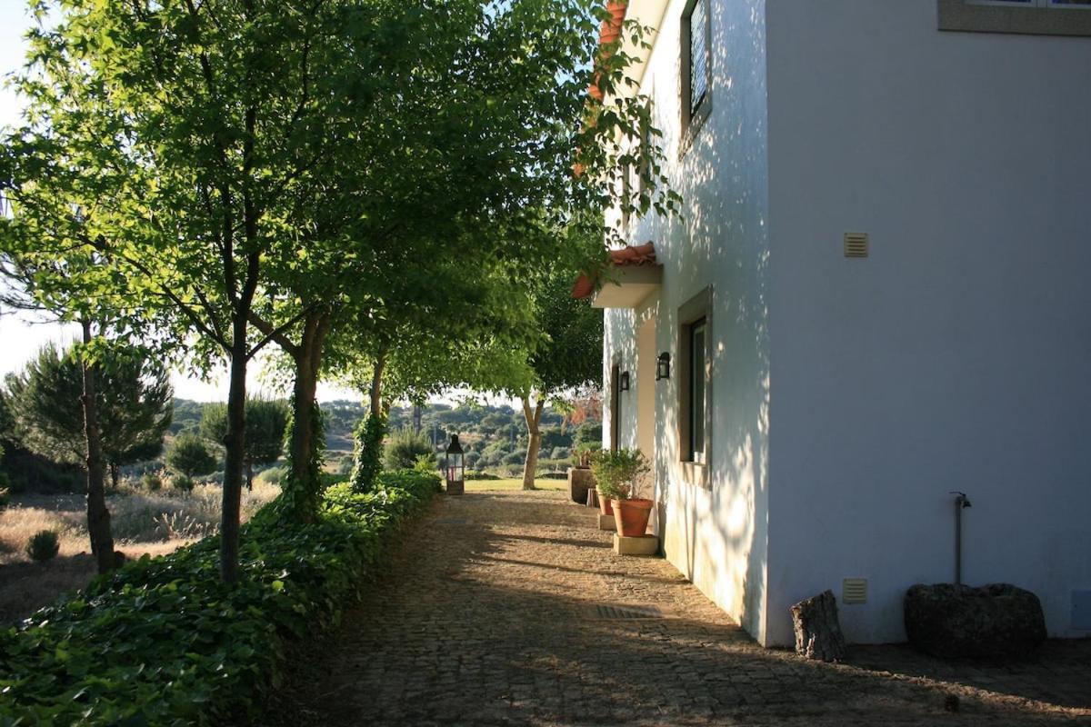 Casa Do Campo - Castelo Branco Βίλα Καστέλο Μπράνκο Εξωτερικό φωτογραφία