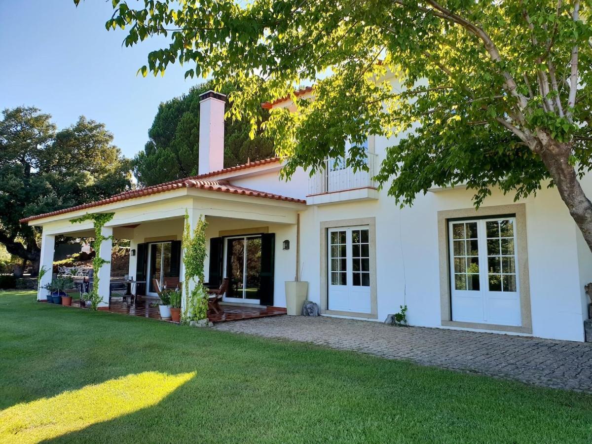 Casa Do Campo - Castelo Branco Βίλα Καστέλο Μπράνκο Εξωτερικό φωτογραφία