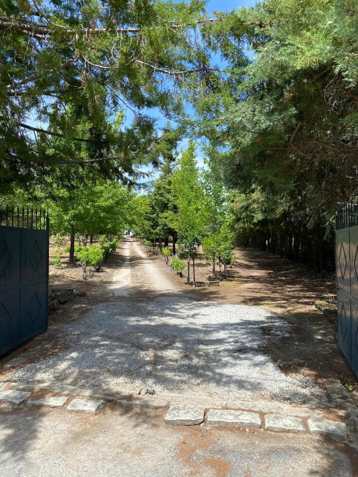 Casa Do Campo - Castelo Branco Βίλα Καστέλο Μπράνκο Εξωτερικό φωτογραφία