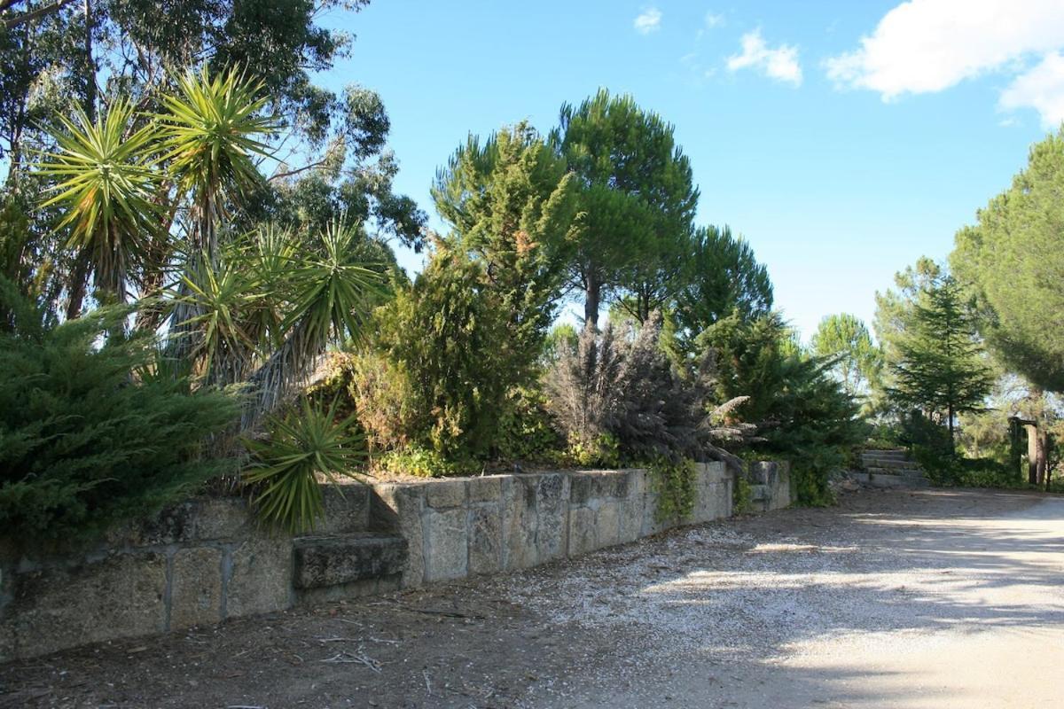 Casa Do Campo - Castelo Branco Βίλα Καστέλο Μπράνκο Εξωτερικό φωτογραφία